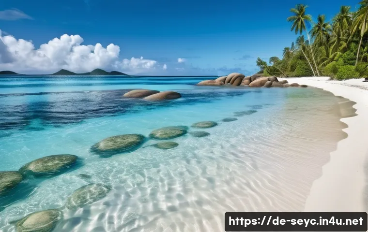 세이셸 정치적 안정 상황 관련 이미지 2